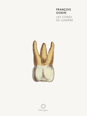 cover image of Les cônes de lumière